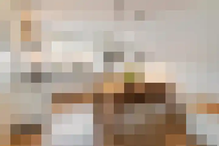 Houtskoolstraat 18 Heeten thumbnail 13