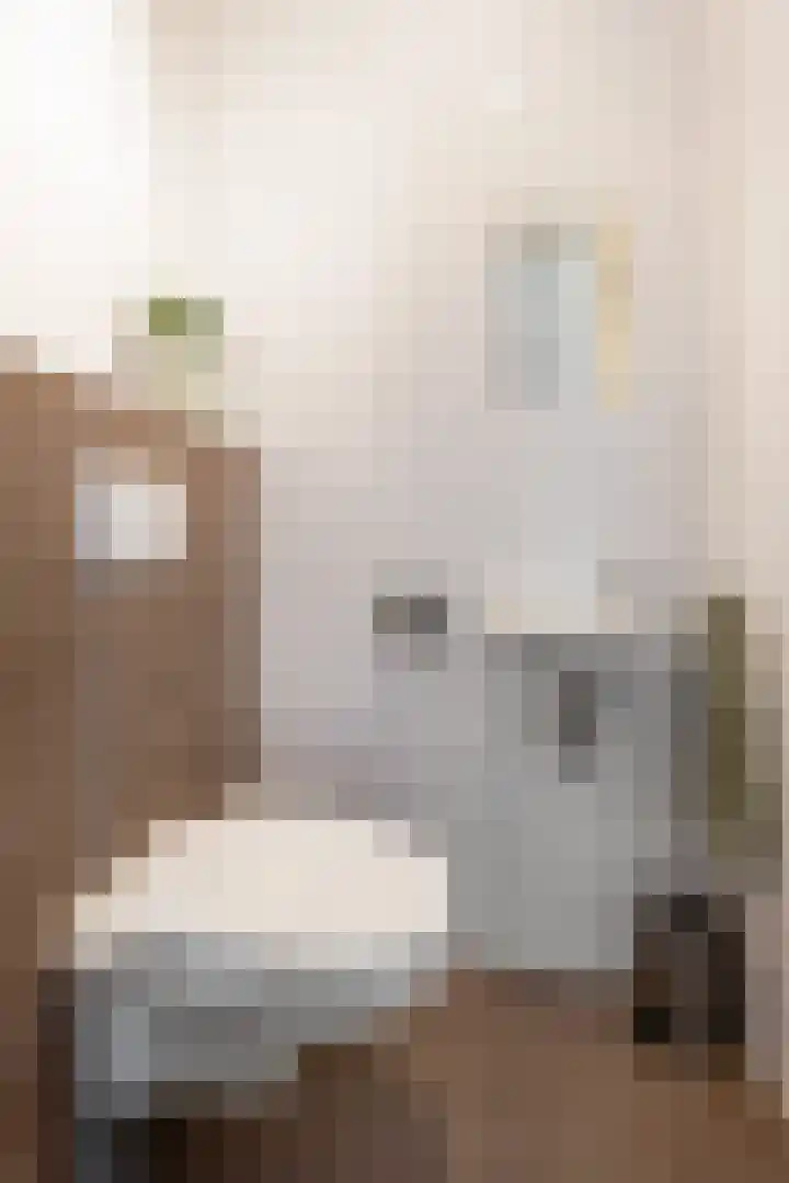 Houtskoolstraat 18 Heeten thumbnail 18