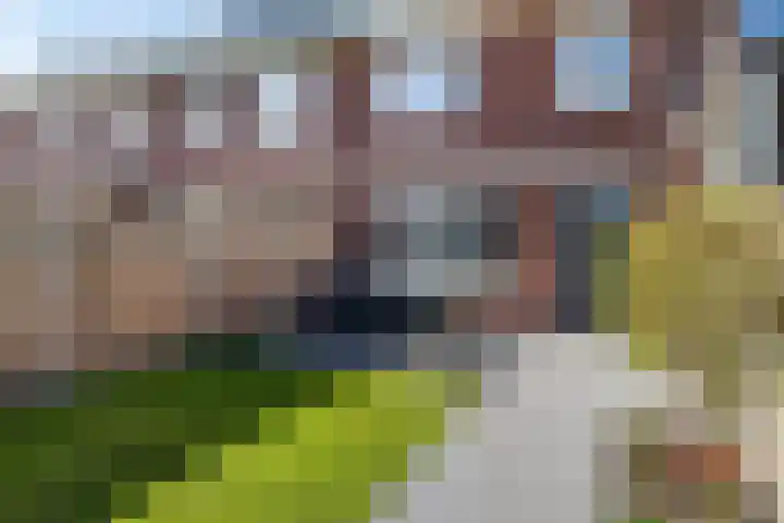 Houtskoolstraat 18 Heeten thumbnail 31