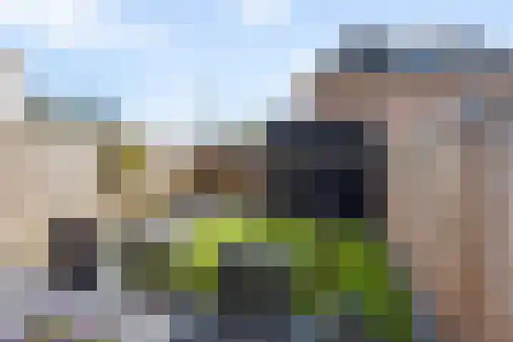 Houtskoolstraat 18 Heeten thumbnail 34