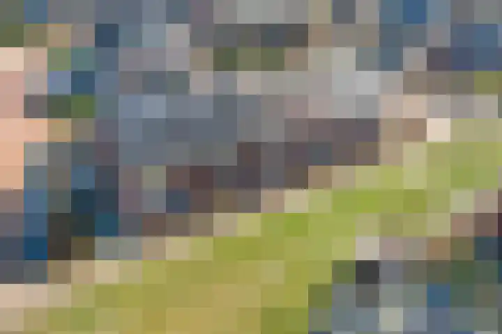 Houtskoolstraat 18 Heeten thumbnail 4