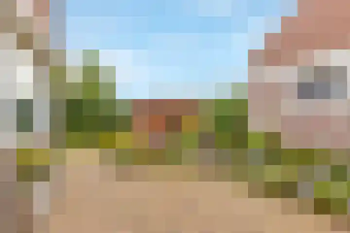 Houtstraat 1 Grevenbicht thumbnail 19