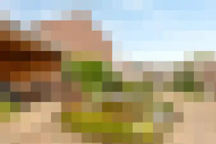 Houtstraat 1 Grevenbicht thumbnail 22