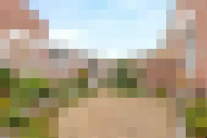Houtstraat 1 Grevenbicht thumbnail 23