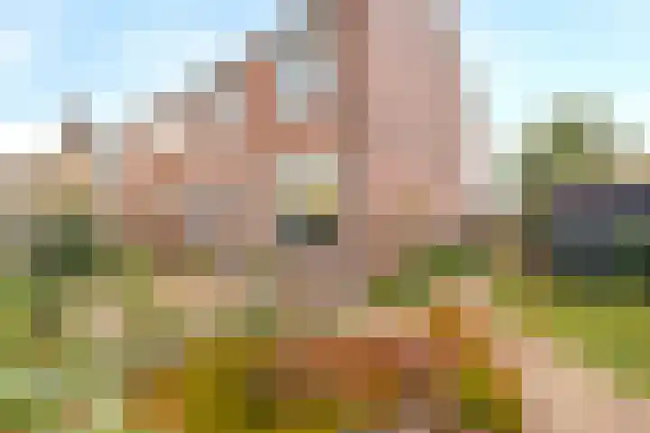 Houtstraat 1 Grevenbicht thumbnail 25