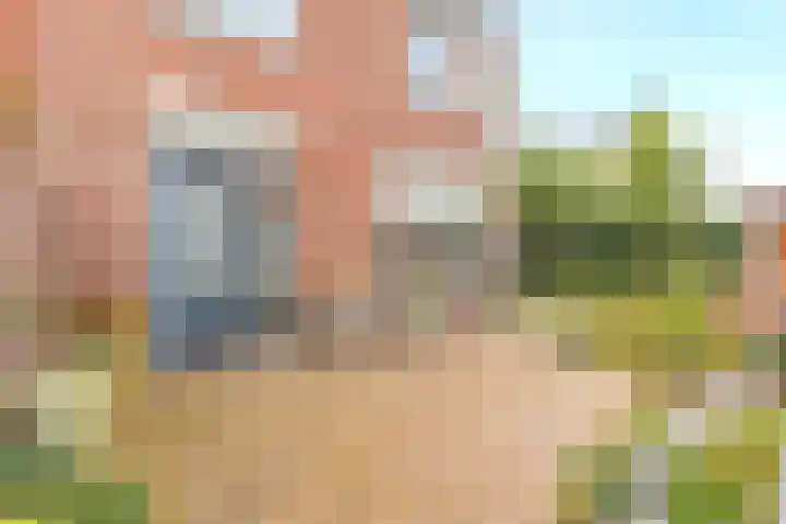 Houtstraat 1 Grevenbicht thumbnail 27
