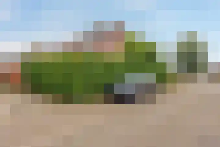 Houtstraat 1 Grevenbicht thumbnail 4