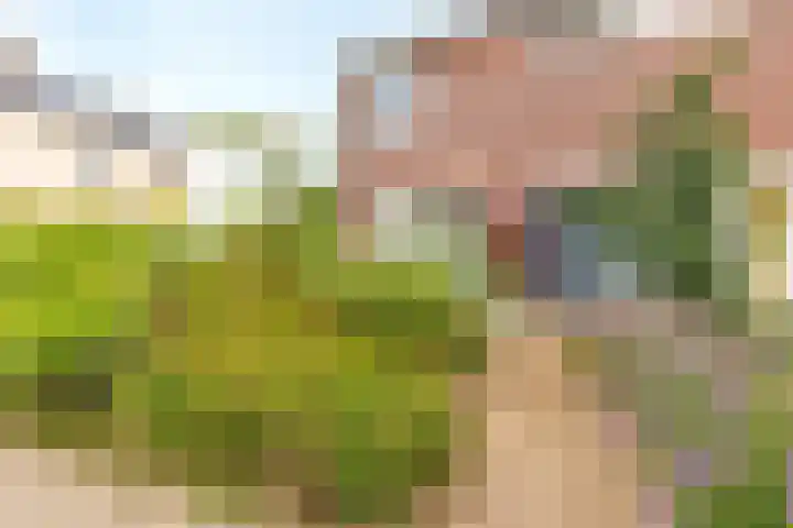 Houtstraat 1 Grevenbicht thumbnail 6