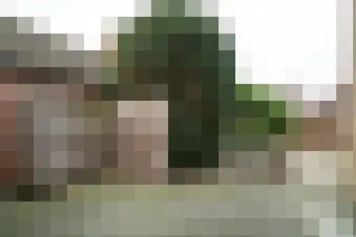 Houtstraat 122 Echt thumbnail 23