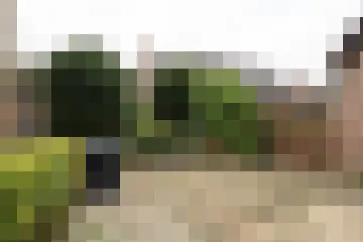 Houtstraat 122 Echt thumbnail 28