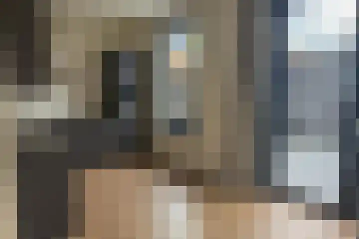 Houtstraat 56 E Echt thumbnail 11