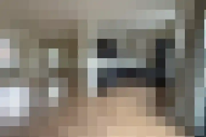 Houtstraat 56 E Echt thumbnail 12