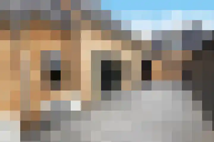 Houtstraat 56 E Echt thumbnail 16