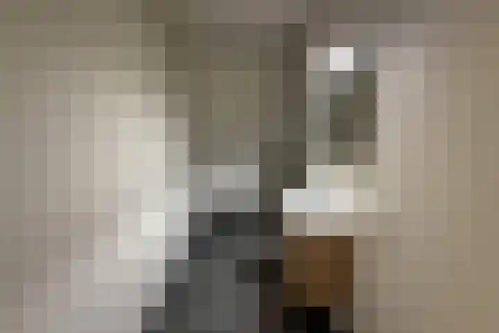 Houtstraat 56 E Echt thumbnail 29