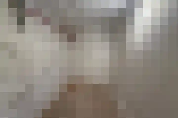Houtstraat 56 E Echt thumbnail 33