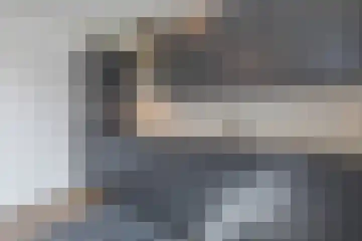 Houtstraat 56 G Echt thumbnail 17