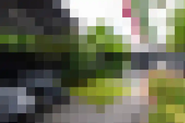 Houtstraat 71 Tilburg thumbnail 5
