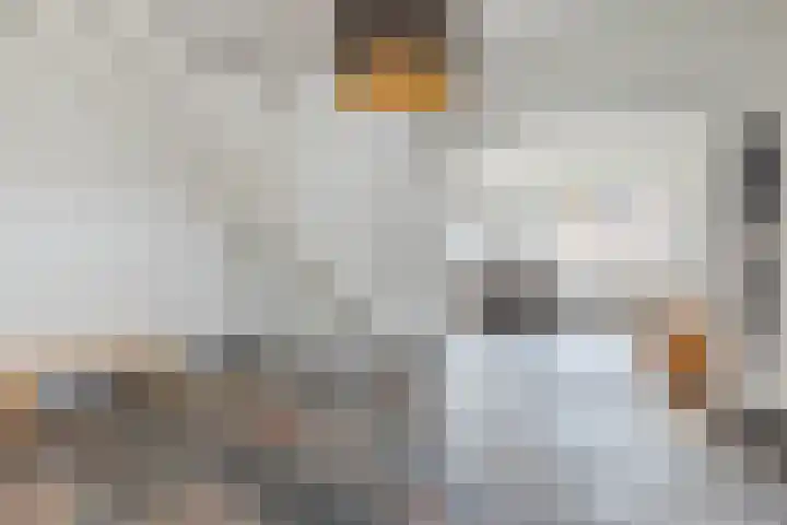 Houtstraat 75 Echt thumbnail 10