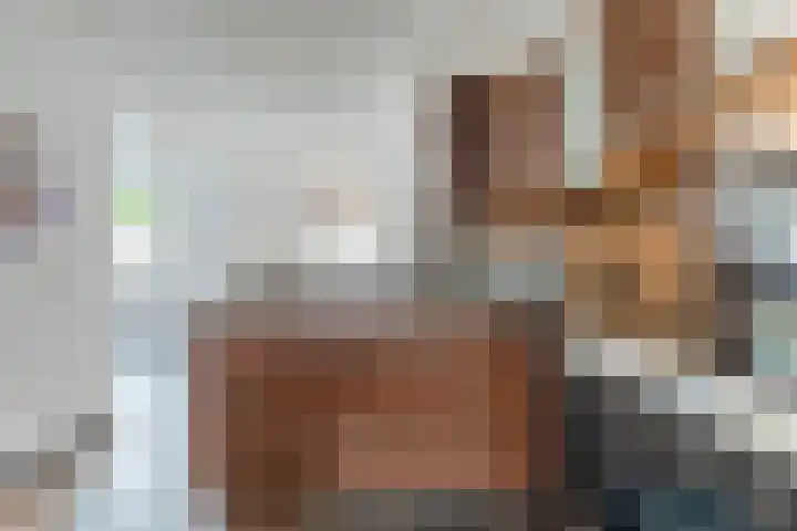 Houtstraat 75 Echt thumbnail 17
