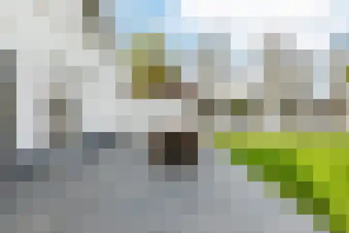 Houtstraat 75 Echt thumbnail 40