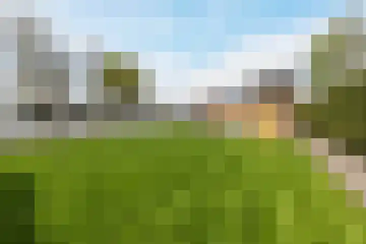 Houtstraat 75 Echt thumbnail 43