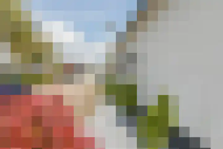 Houtstraat 75 Echt thumbnail 51