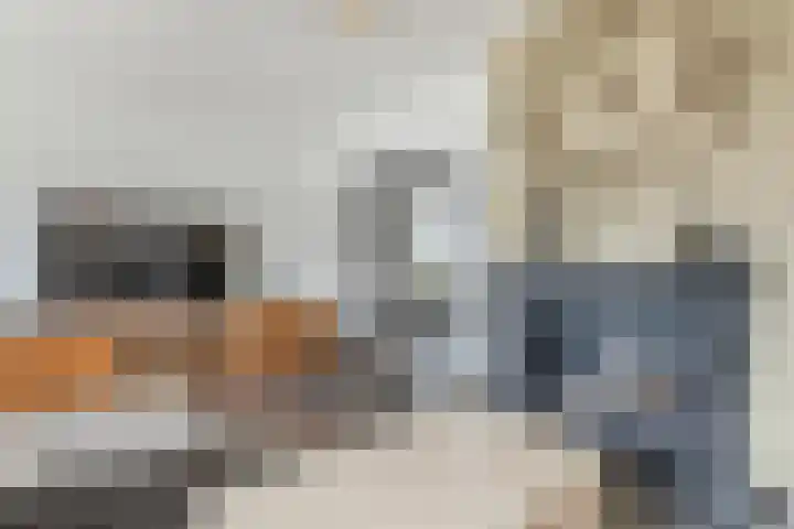 Houtstraat 75 Echt thumbnail 9