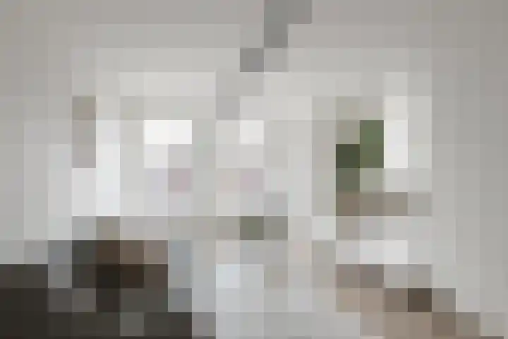 Houttil 60 A Alkmaar thumbnail 15