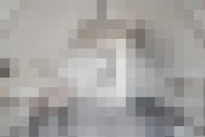 Houttil 60 A Alkmaar thumbnail 27
