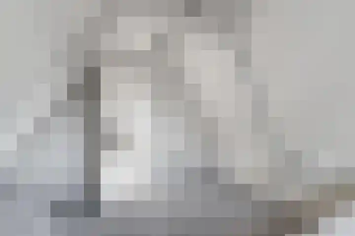 Houttil 60 A Alkmaar thumbnail 34