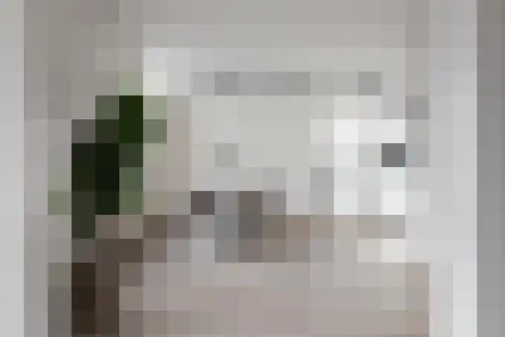Houttil 60 A Alkmaar thumbnail 8