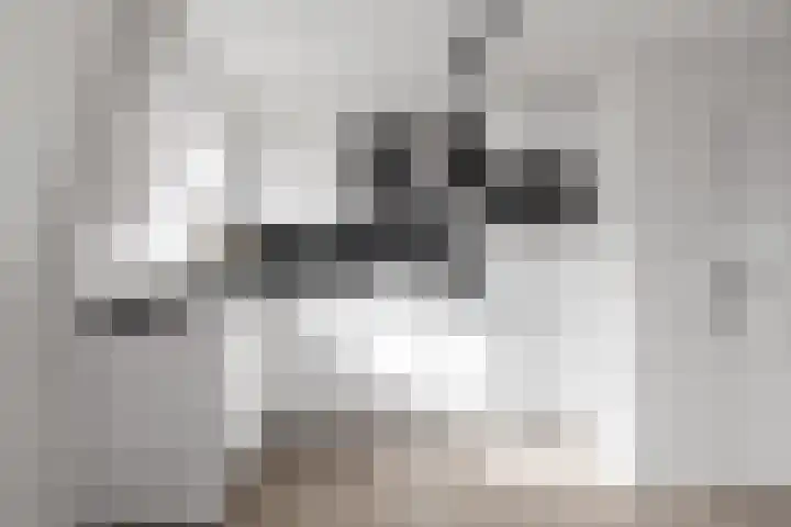 Houttil 60 A Alkmaar thumbnail 9