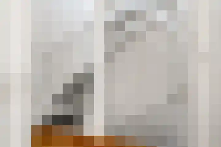Houtvester 18 Leusden thumbnail 15