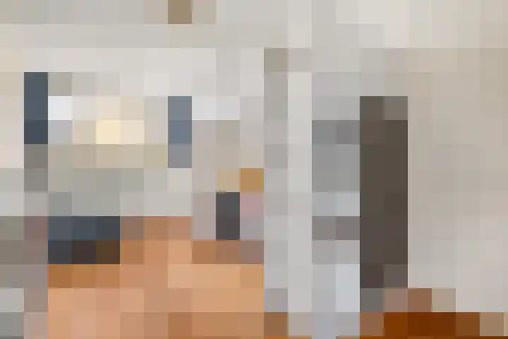 Houtvester 18 Leusden thumbnail 16