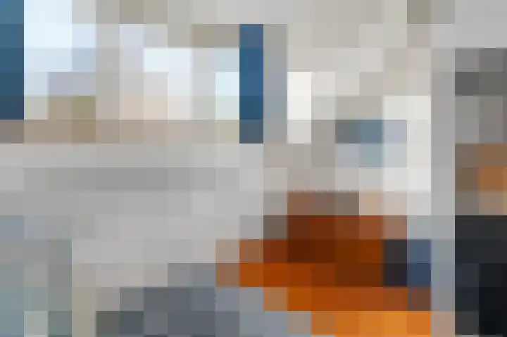 Houtvester 18 Leusden thumbnail 17