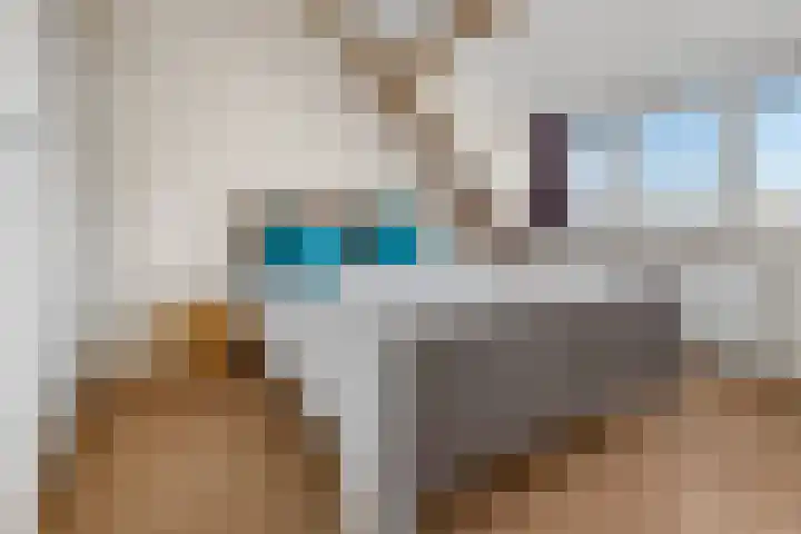 Houtvester 18 Leusden thumbnail 24