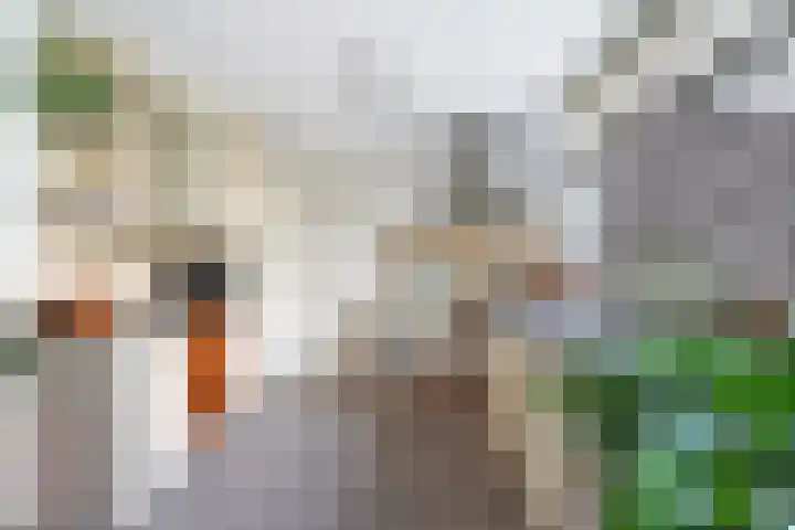 Houtwal 3 Vlissingen thumbnail 9