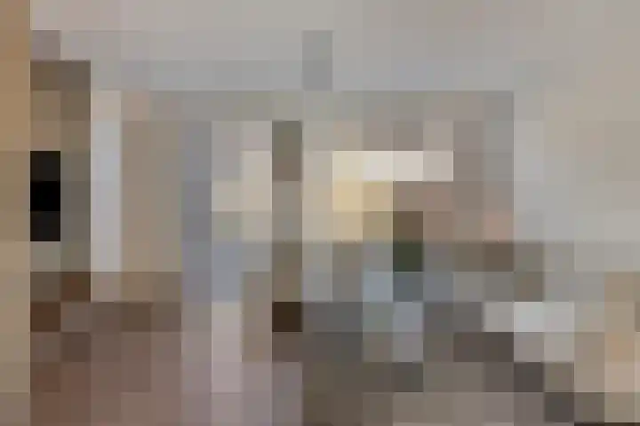 Houtwal 5 Hoeven thumbnail 10