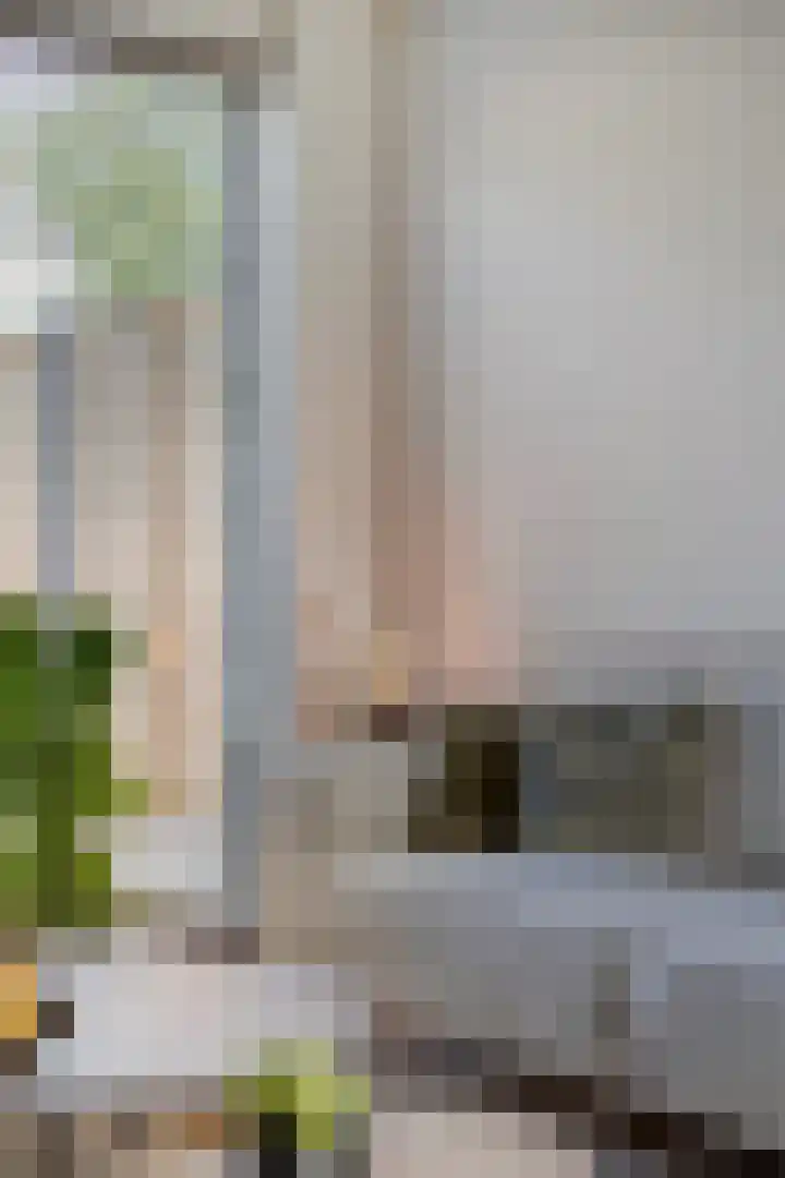 Houtwal 5 Hoeven thumbnail 13