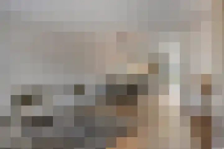 Houtwal 5 Hoeven thumbnail 14