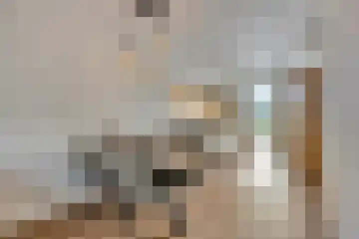 Houtwal 5 Hoeven thumbnail 16