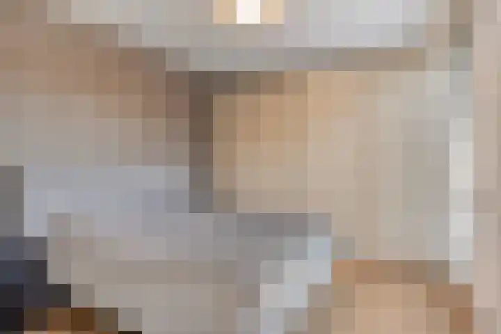 Houtwal 5 Hoeven thumbnail 22