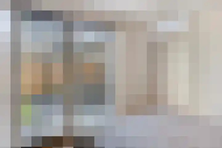 Houtwal 5 Hoeven thumbnail 23