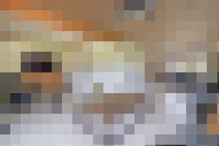 Houtwal 5 Hoeven thumbnail 27