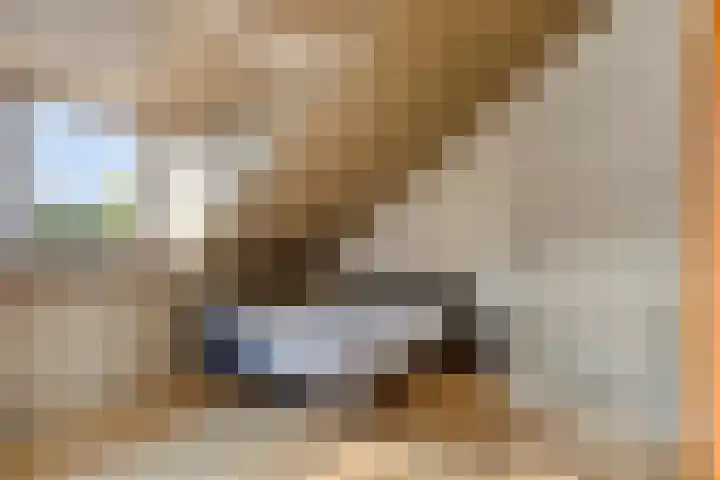 Houtwal 5 Hoeven thumbnail 29