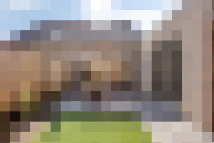 Houtwal 5 Hoeven thumbnail 33