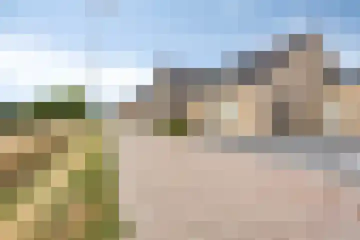 Houtwal 5 Hoeven thumbnail 36