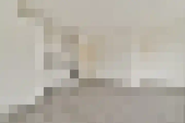 Houtwal 5 Hoeven thumbnail 6