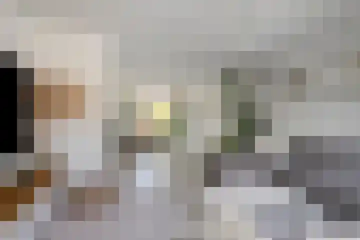 Houtwal 8 Gemert thumbnail 10