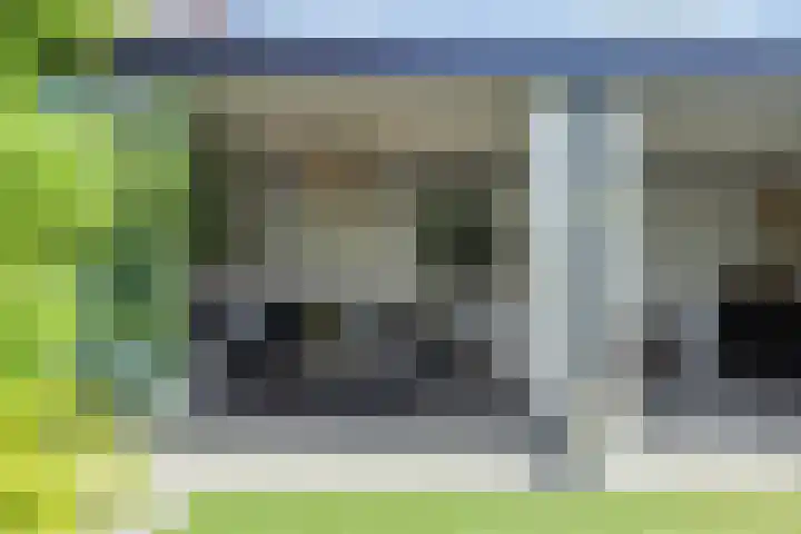 Houtwal 8 Gemert thumbnail 17